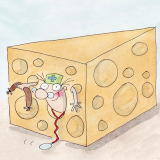 Školní sýrárna a masná výroba