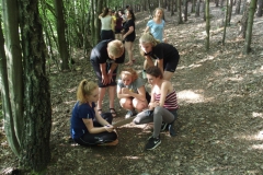 OLYMPUS DIGITAL CAMERA