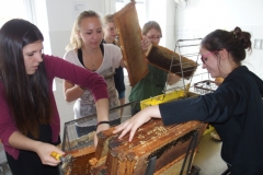 OLYMPUS DIGITAL CAMERA